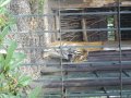IMGP0850.JPG